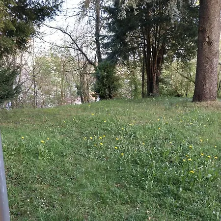Apartment Mit Garten